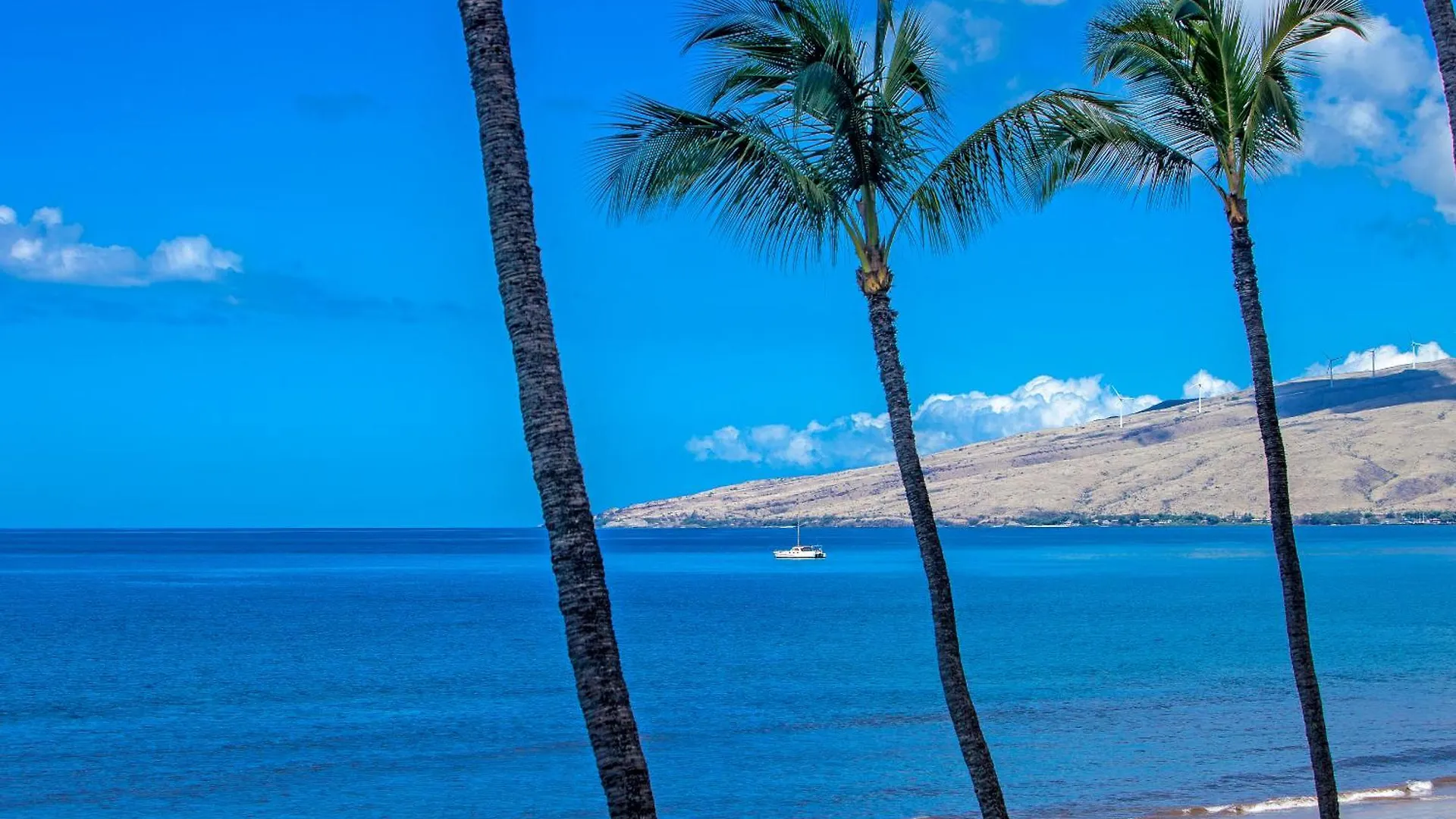 Sugar Beach 416 - Mch Kihei USA