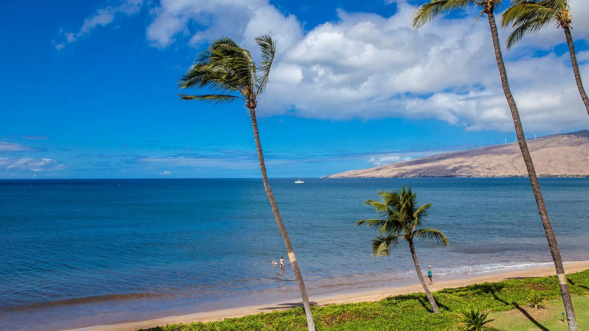 Holiday home Sugar Beach 416 - Mch Kihei