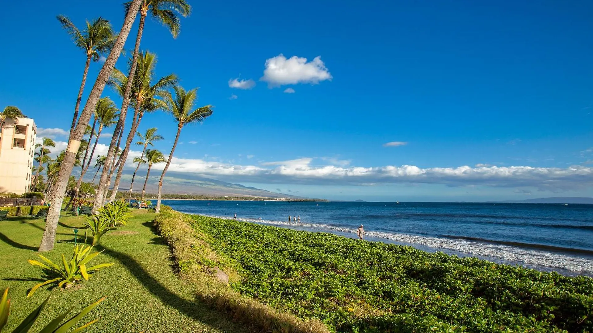 Sugar Beach 416 - Mch Kihei 0*,