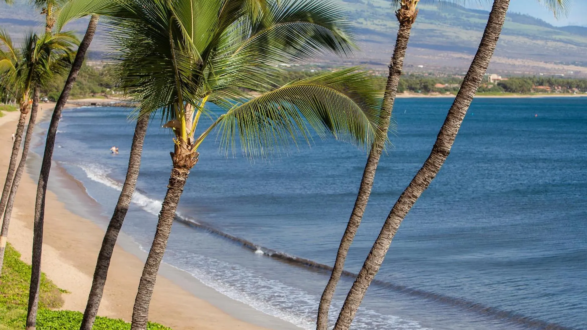 Sugar Beach 416 - Mch Kihei Holiday home
