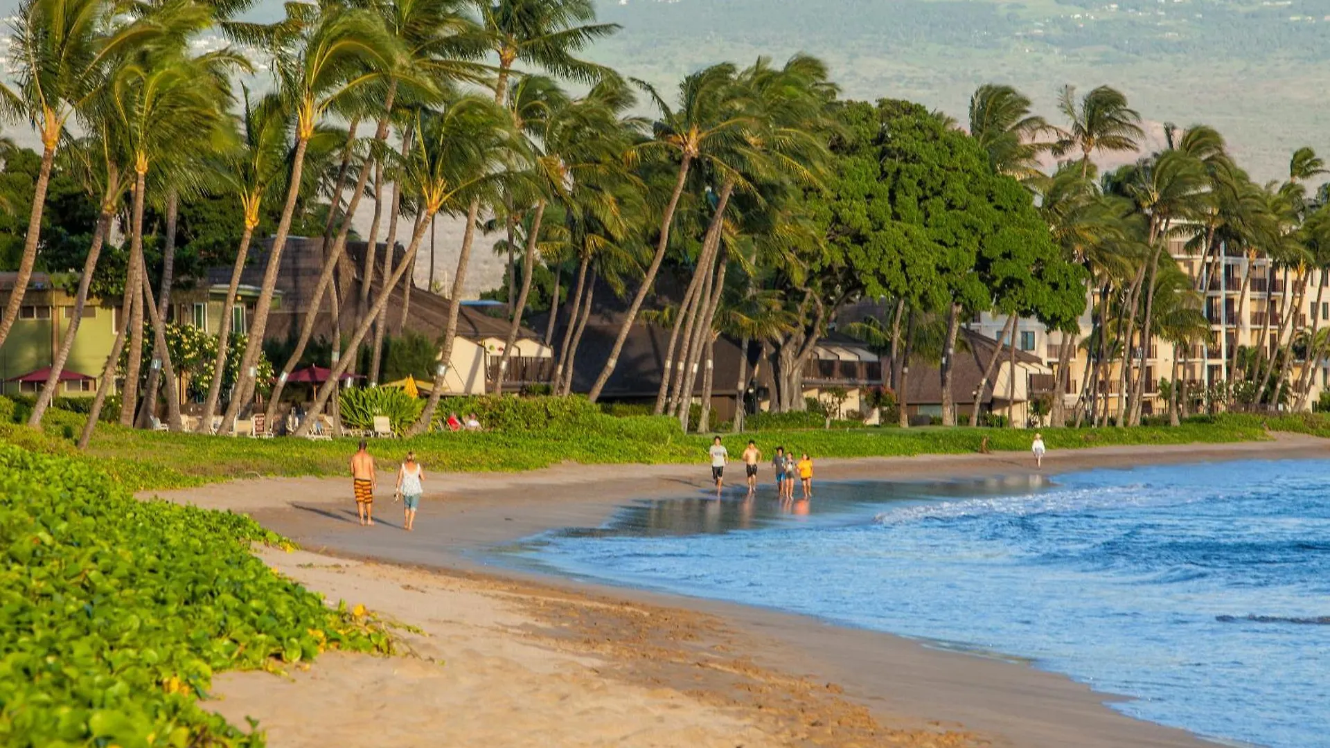 Sugar Beach 416 - Mch Kihei 0*,  United States