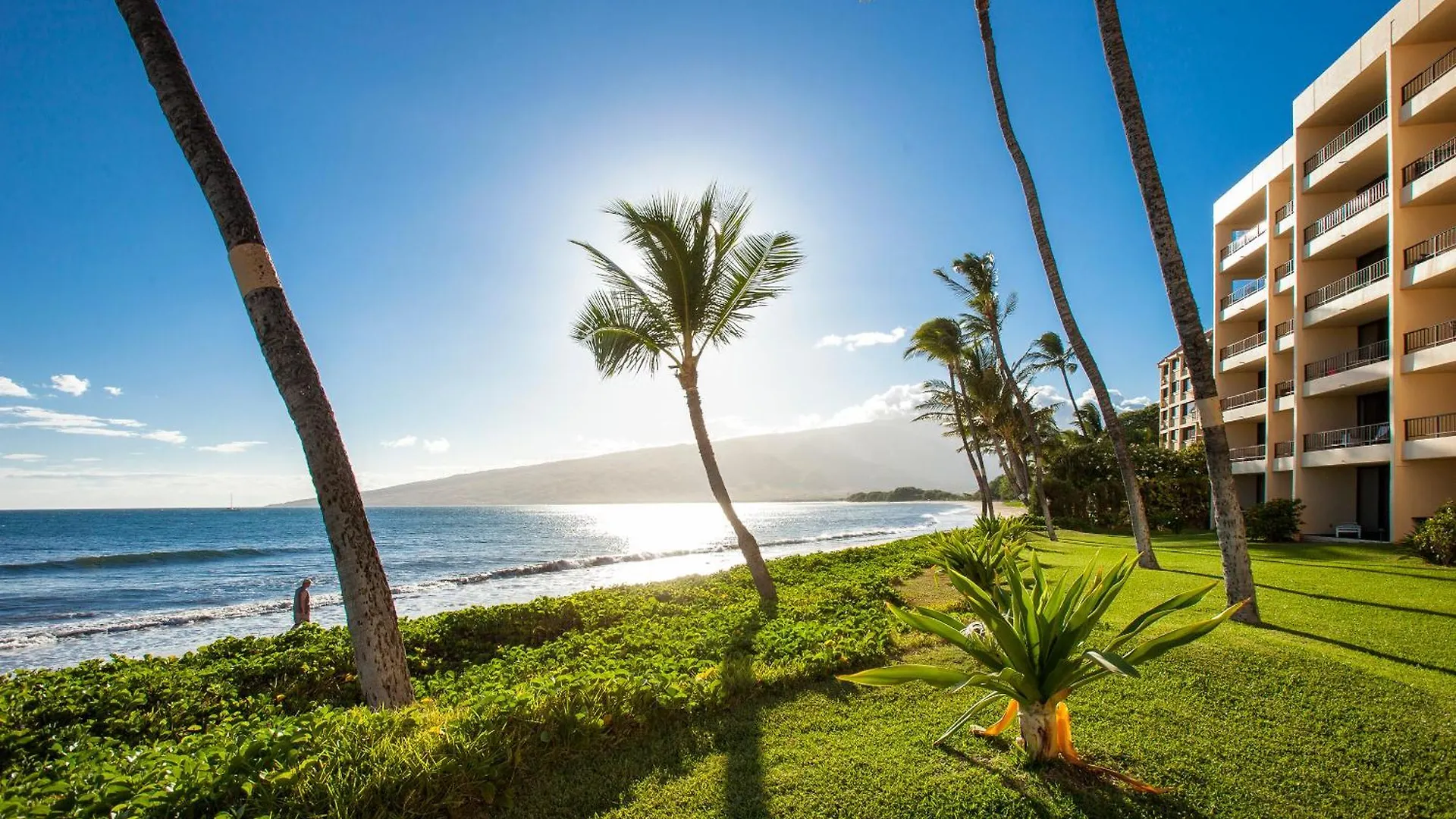 Sugar Beach 416 - Mch Kihei United States
