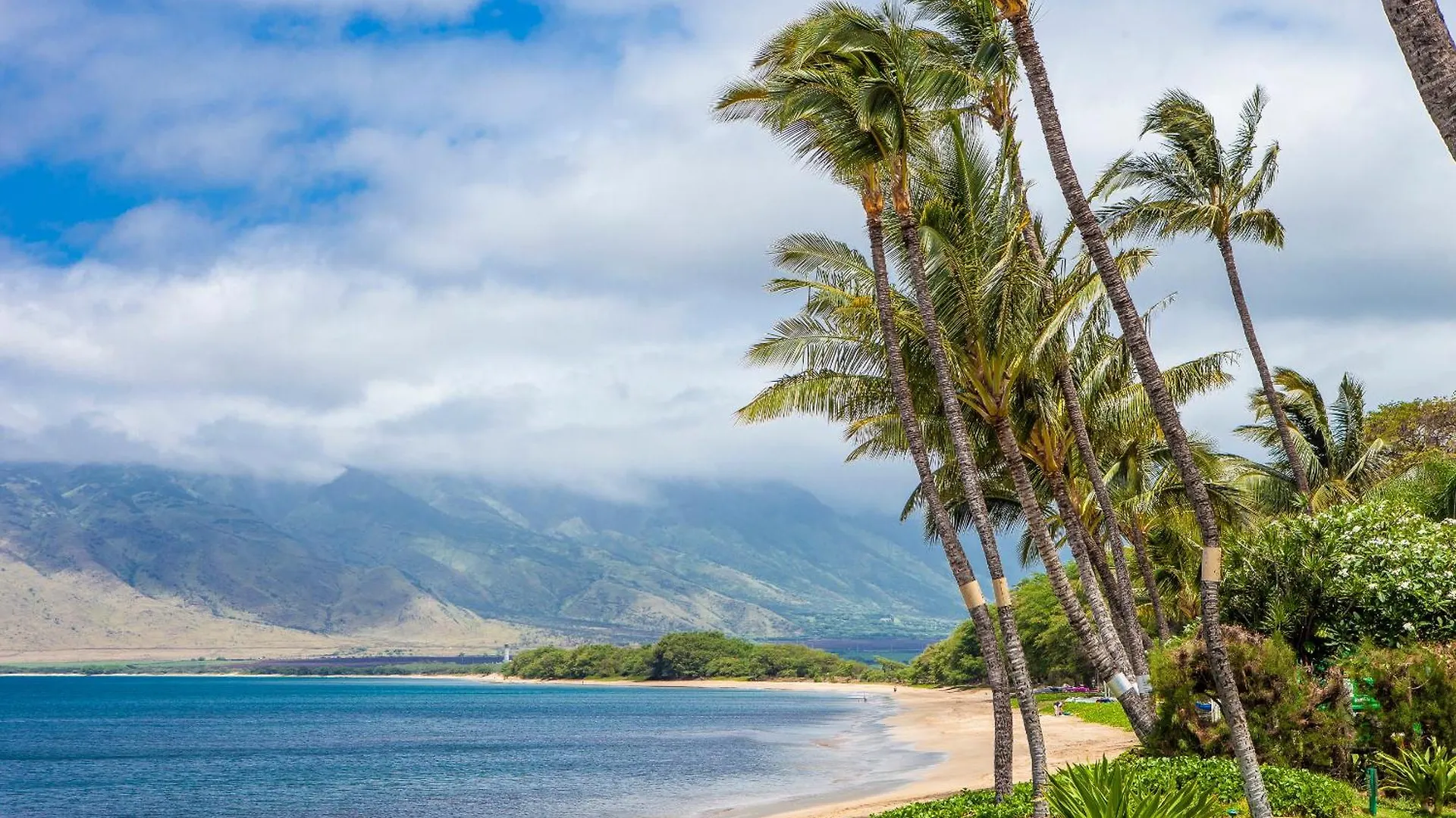 Sugar Beach 416 - Mch Kihei